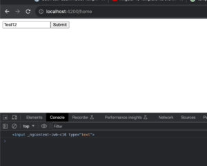 Template Reference variable
